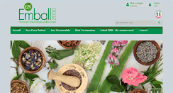 Desktop Screenshot of emball2000.fr